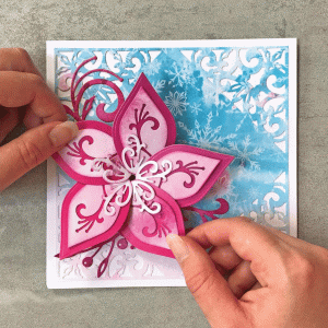 poinsettia flower card